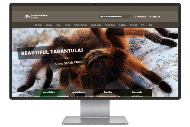 Tarantula Barn website shown on a modern desktop monitor